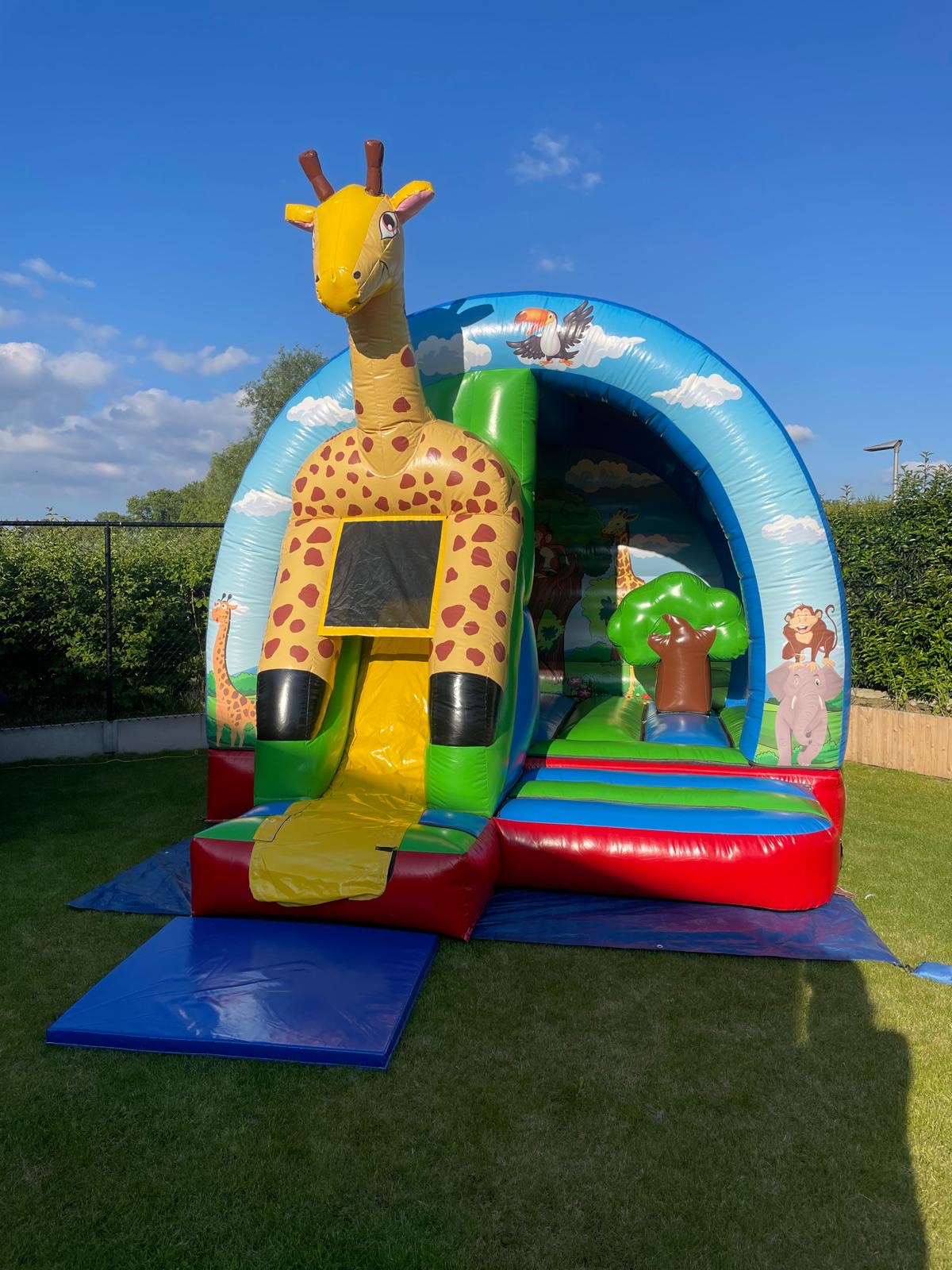 Giraffe Main View