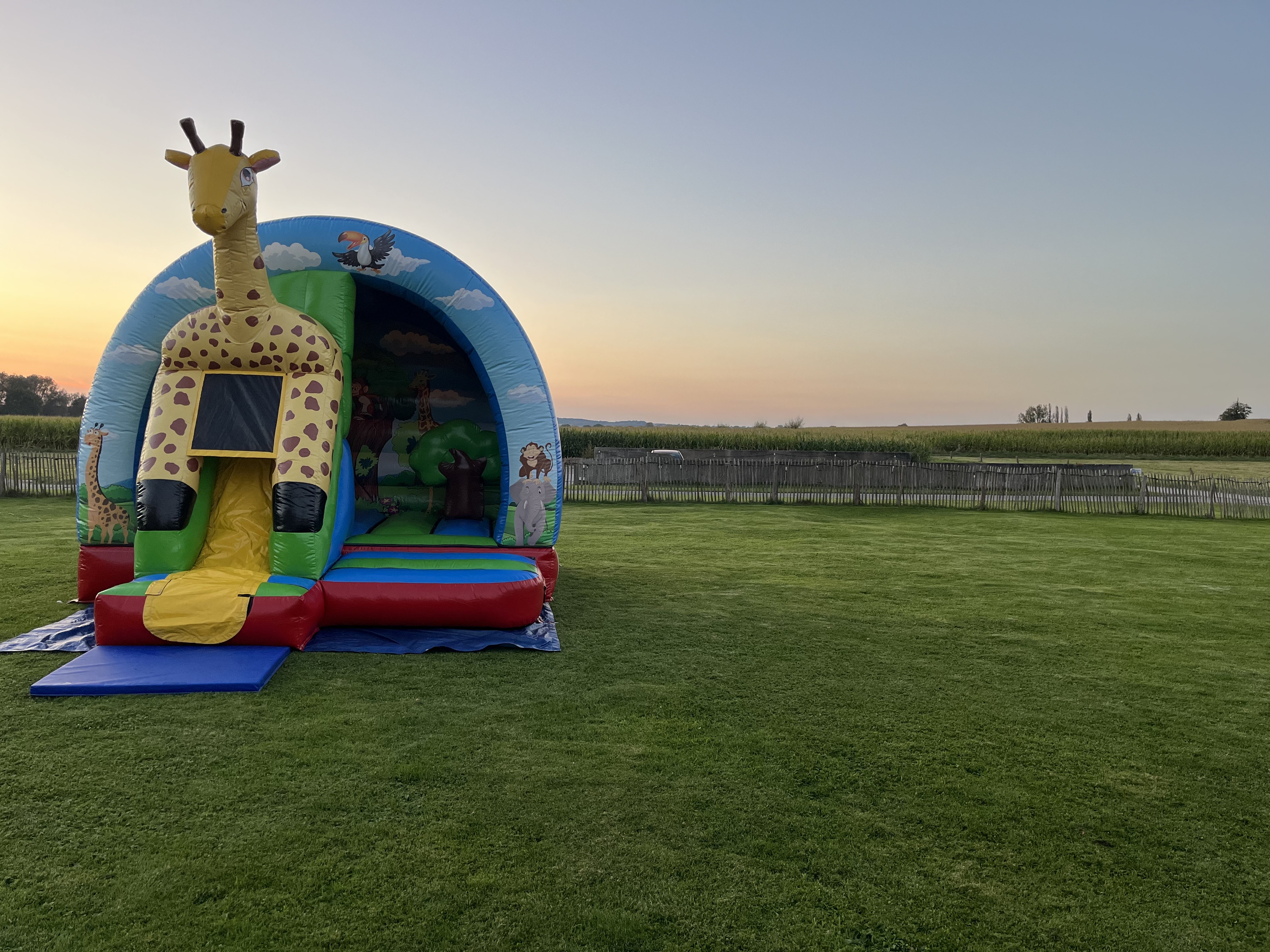 Giraffe Springkasteel